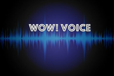 WOW! Voice